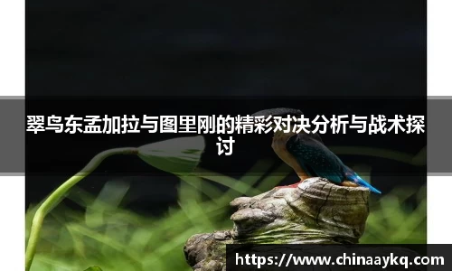 翠鸟东孟加拉与图里刚的精彩对决分析与战术探讨